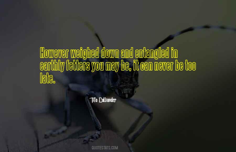 It May Be Too Late Quotes #77230