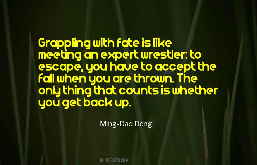 It Was Fate Meeting You Quotes #1230611 It Was Fate Meeting You Quotes #1230611