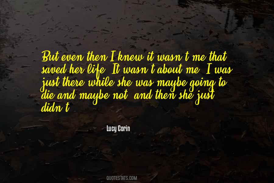 It Wasn't Me Quotes #122183