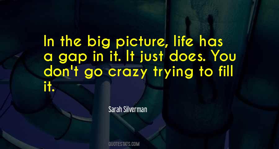 It's A Crazy Life Quotes #229866