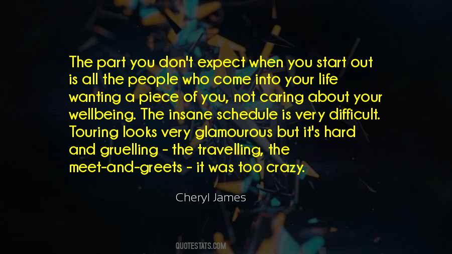 It's A Crazy Life Quotes #745592