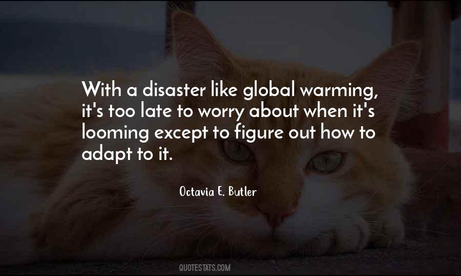 It's A Disaster Quotes #1060408