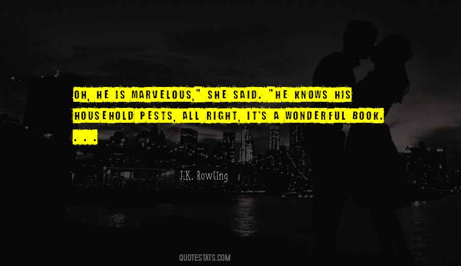 It's A Wonderful Quotes #1821970