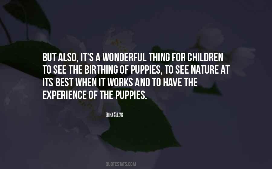 It's A Wonderful Quotes #947165