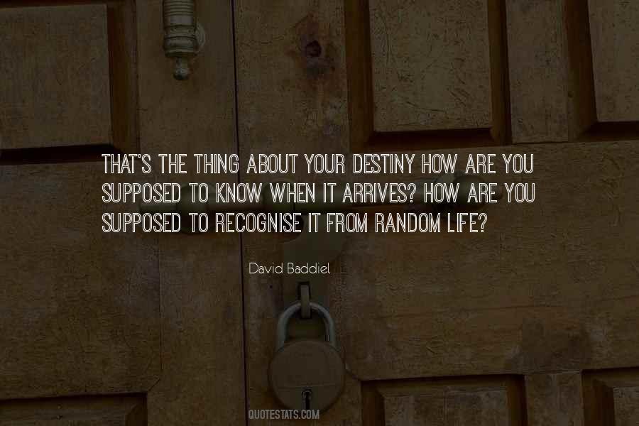 It's All About Destiny Quotes #20324