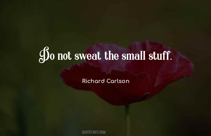 It's All Small Stuff Quotes #543265