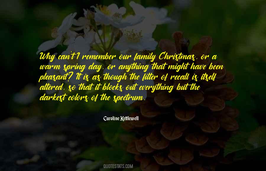 Quotes About Family On Christmas #337616