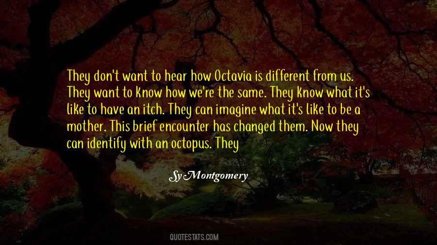 It's Different Now Quotes #530438