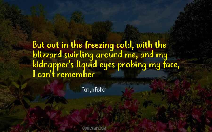 It's Freezing Cold Quotes #400625