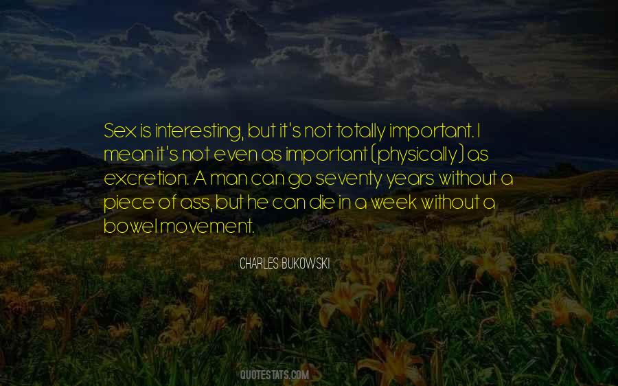 It's Not Important Quotes #22114