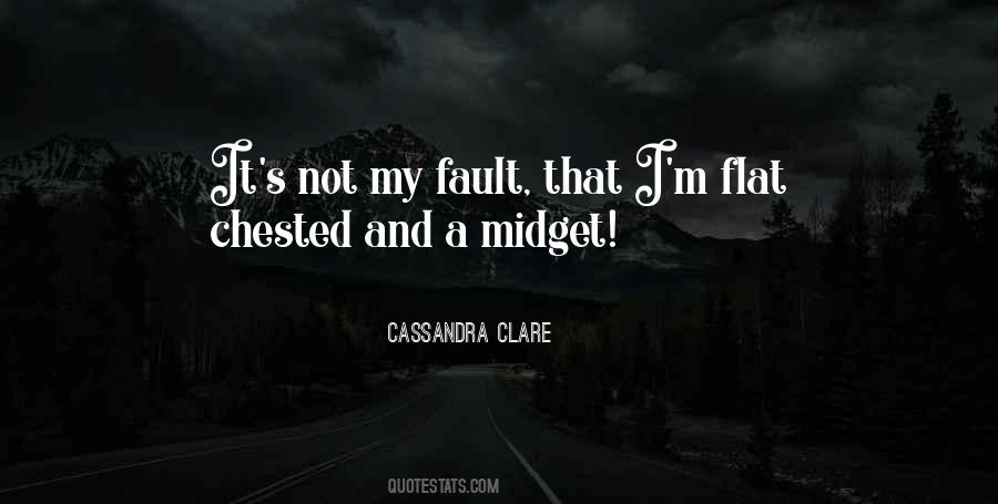 It's Not My Fault Quotes #959277