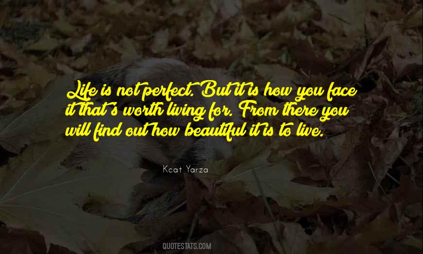 It's Not Perfect Quotes #394070