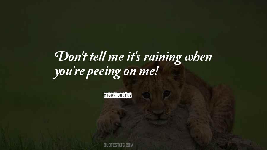 It's Raining Outside Quotes #268941