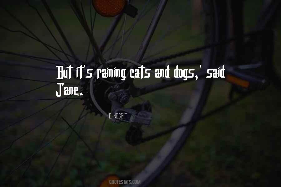 It's Raining Quotes #1551016