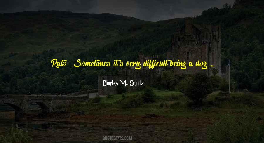It's Raining Quotes #1667367