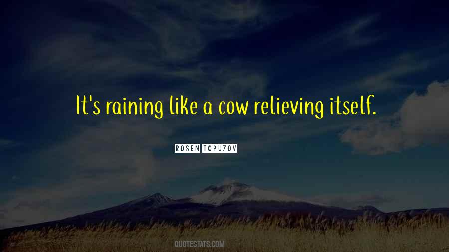 It's Raining Quotes #778275