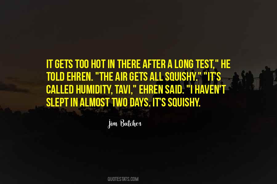 It's Too Hot Quotes #1158314