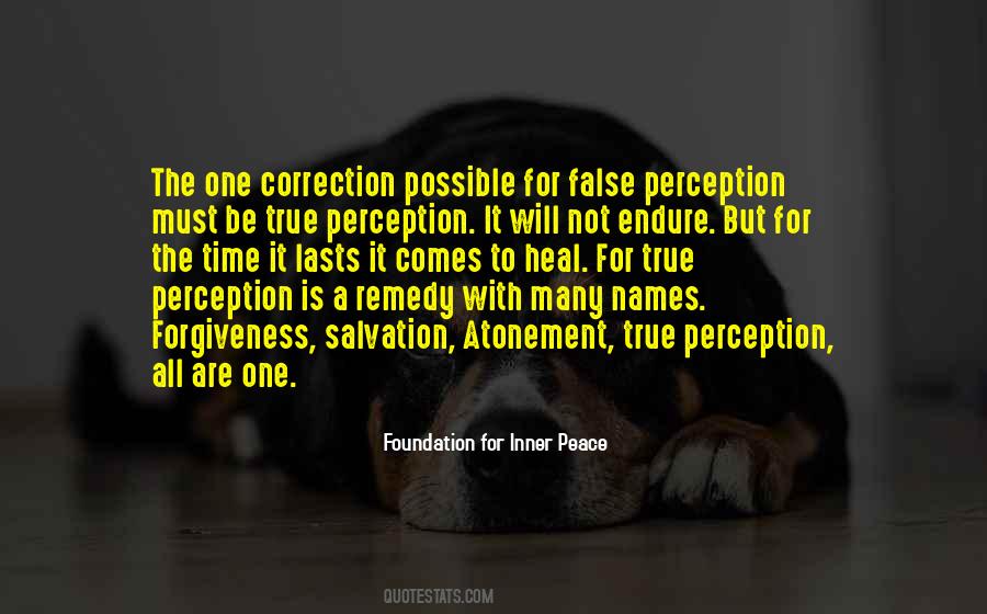 Quotes About False Perception #515496