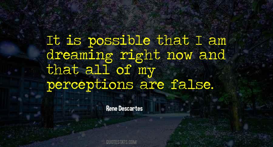 Quotes About False Perception #98212