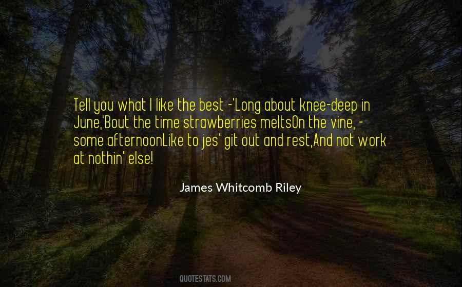 James Whitcomb Quotes #1539794