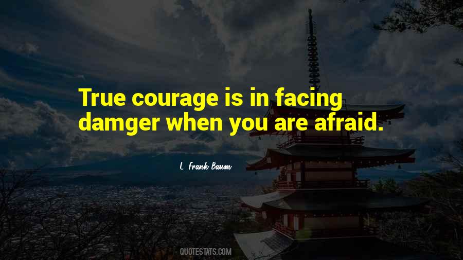 Quotes About Facing Danger #1460036