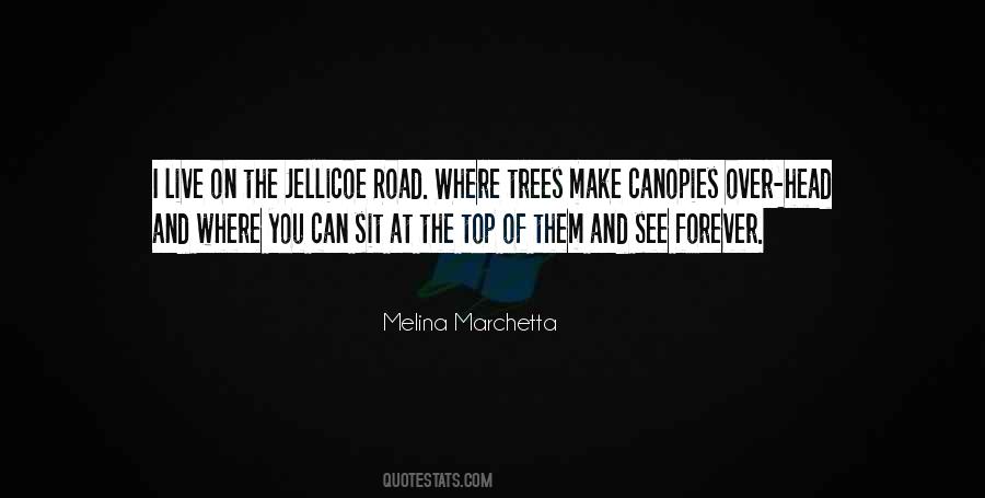 Jellicoe Road Melina Marchetta Quotes #408655