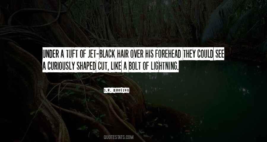 Jet Black Hair Quotes #410895