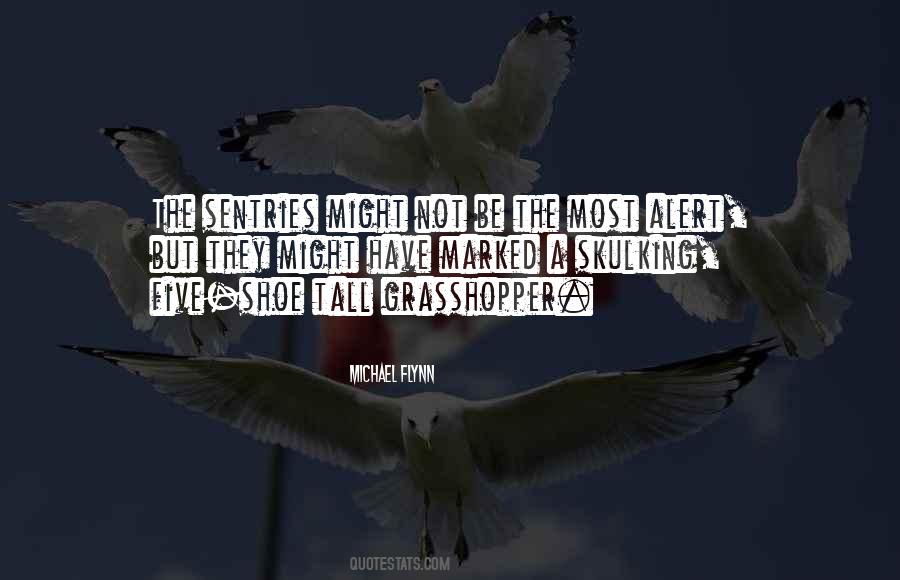 Jet Plane Love Quotes #1688298