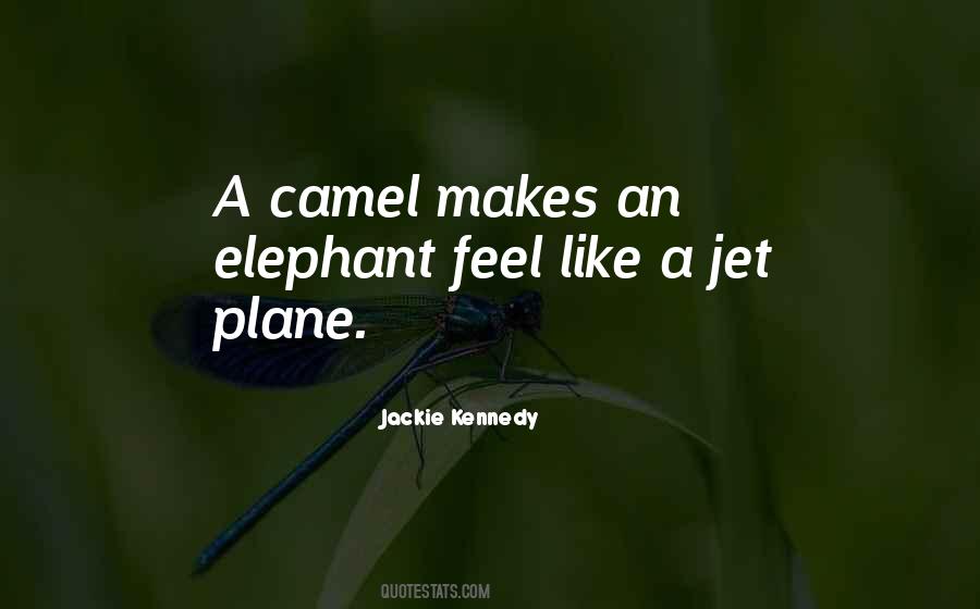 Jet Plane Quotes #552199