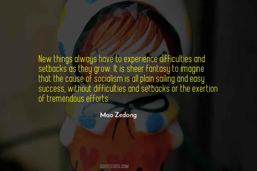 Quotes About Experience And Success #1062054