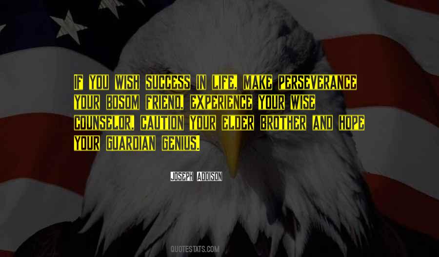 Quotes About Experience And Success #1079630