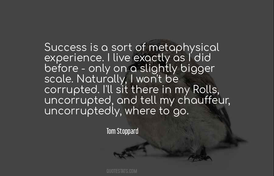 Quotes About Experience And Success #1551065