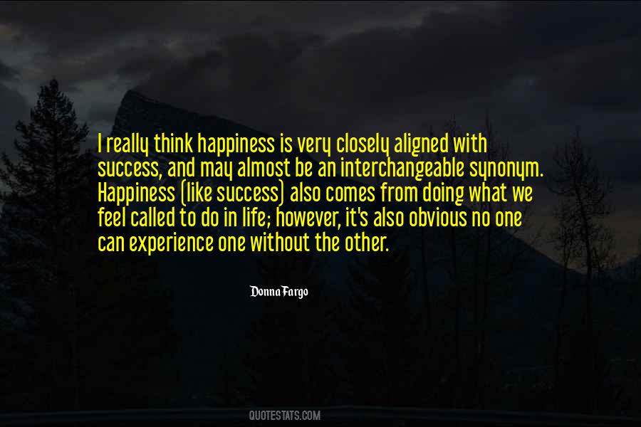 Quotes About Experience And Success #782234
