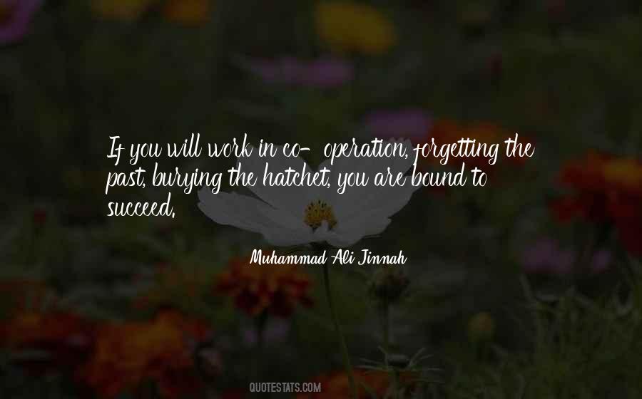 Jinnah's Quotes #208421