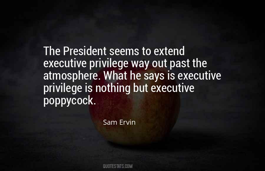 Quotes About Executive Privilege #1389704
