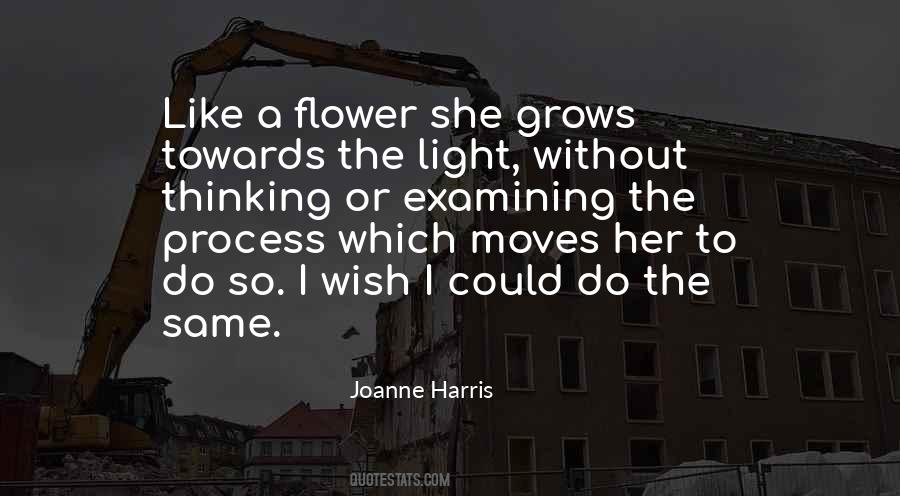 Joanne Harris Chocolat Quotes #76341