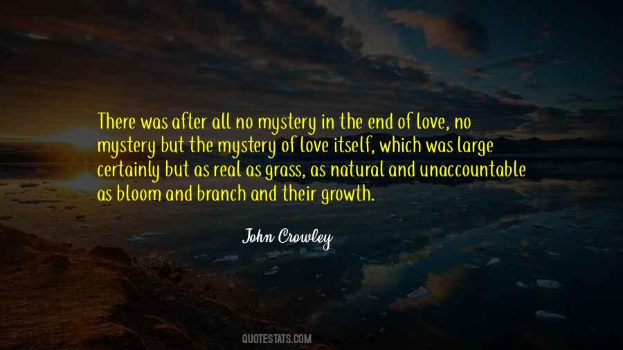 John Crowley Little Big Quotes #1739575