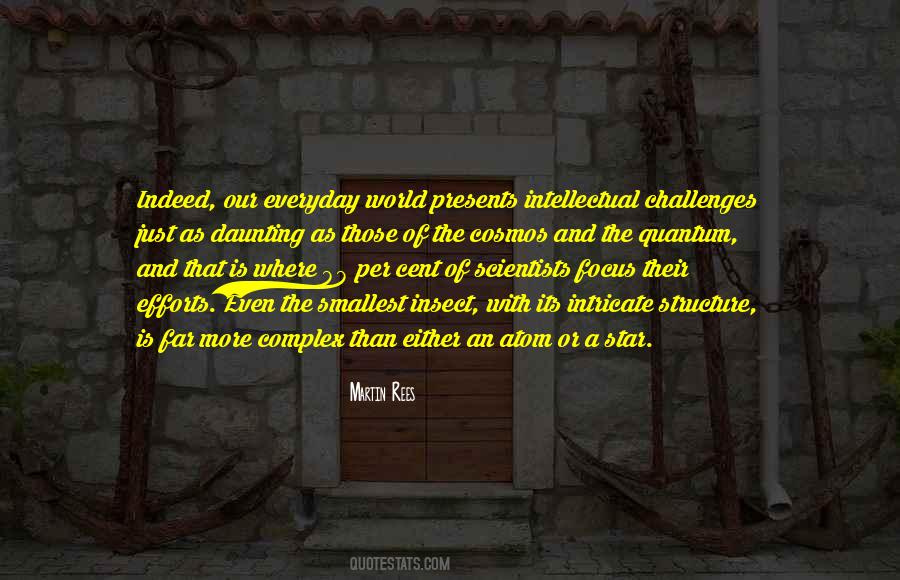 Quotes About Everyday Challenges #1737275