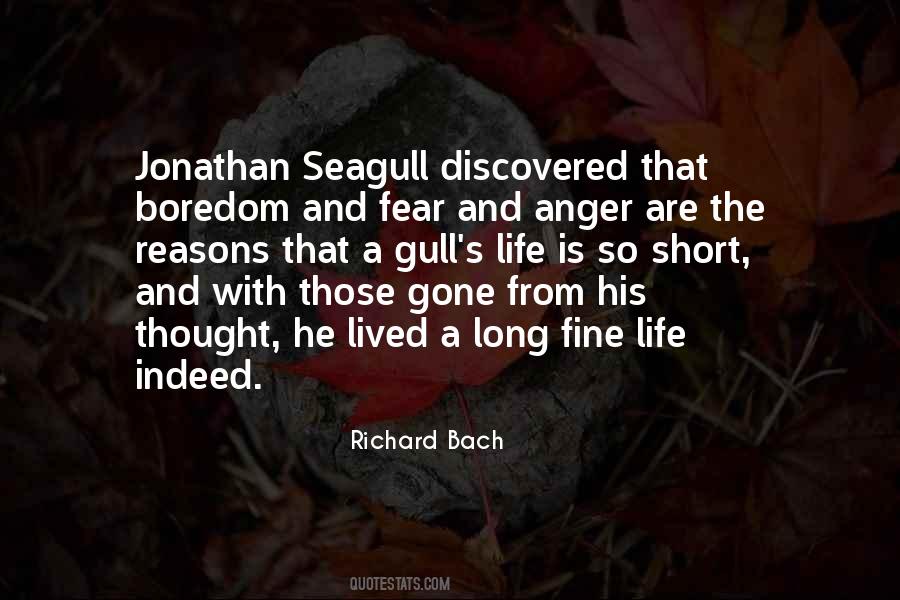 Jonathan Seagull Quotes #364838