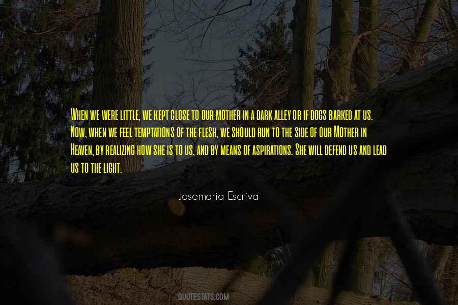 Josemaria Quotes #253932
