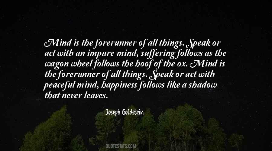 Joseph L. Goldstein Quotes #878824