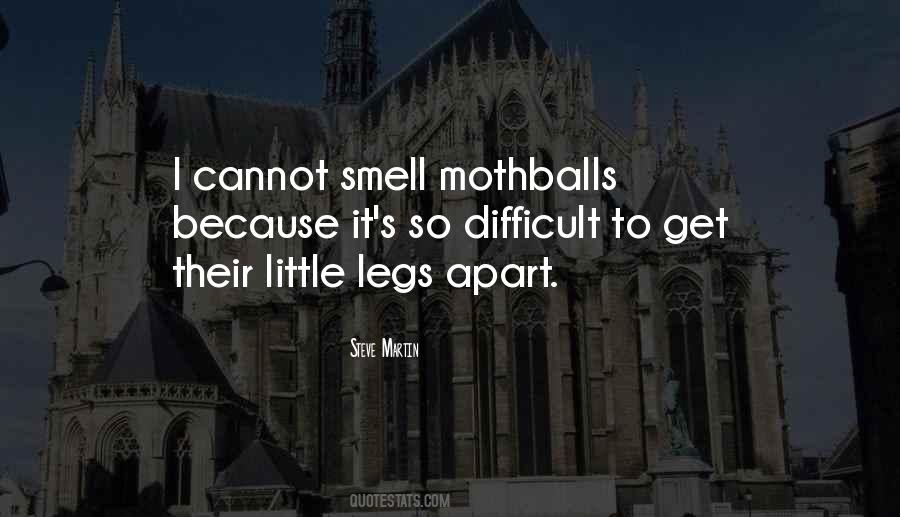 Josephine Shaw Lowell Quotes #750907
