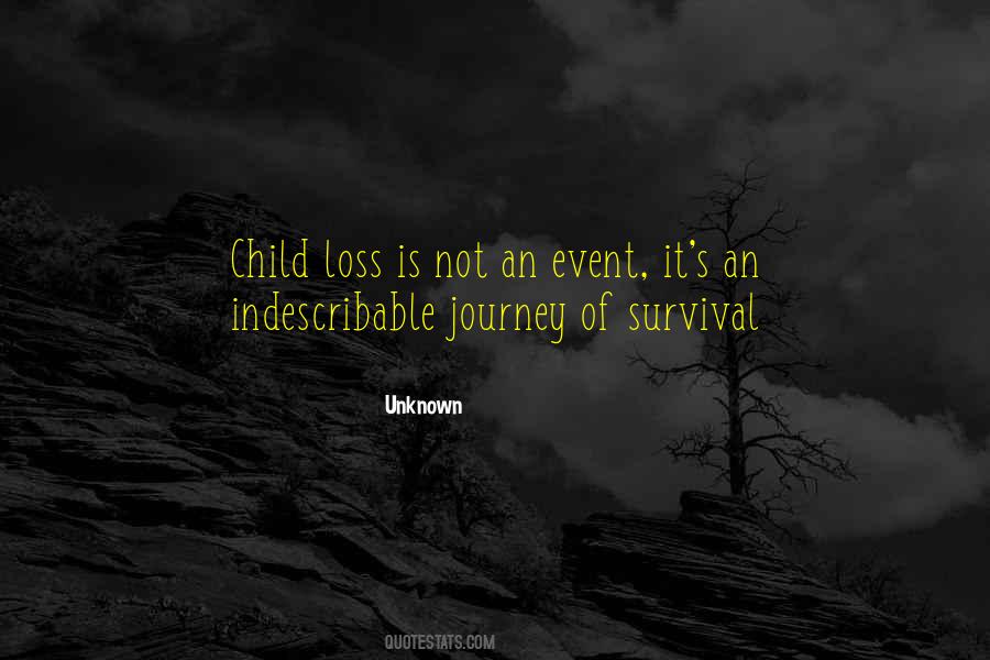 Journey Into Unknown Quotes #1480828