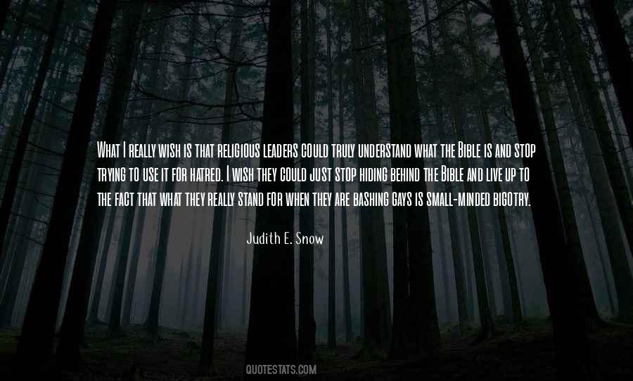 Judith Snow Quotes #196640