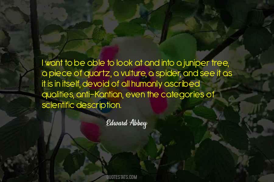 Juniper Tree Quotes #405708