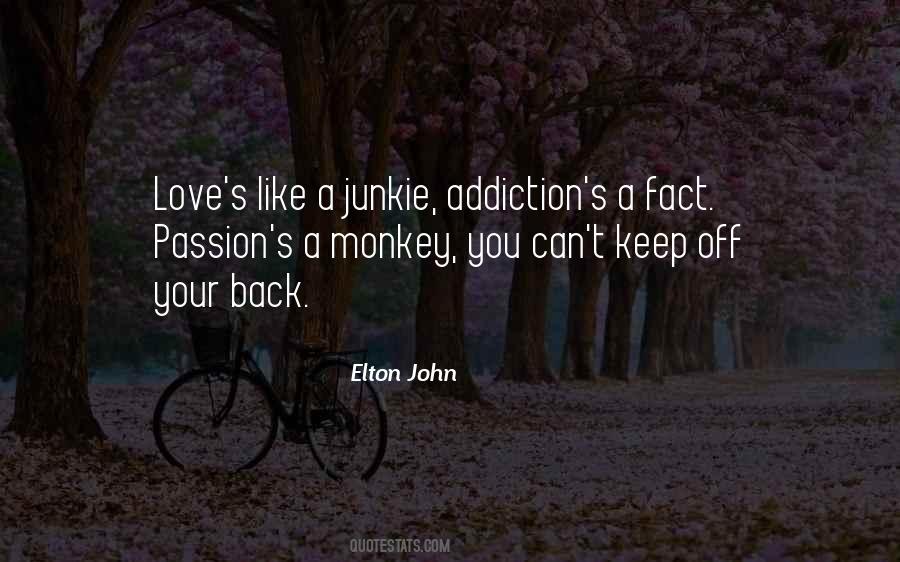 Junkie Quotes #1078411