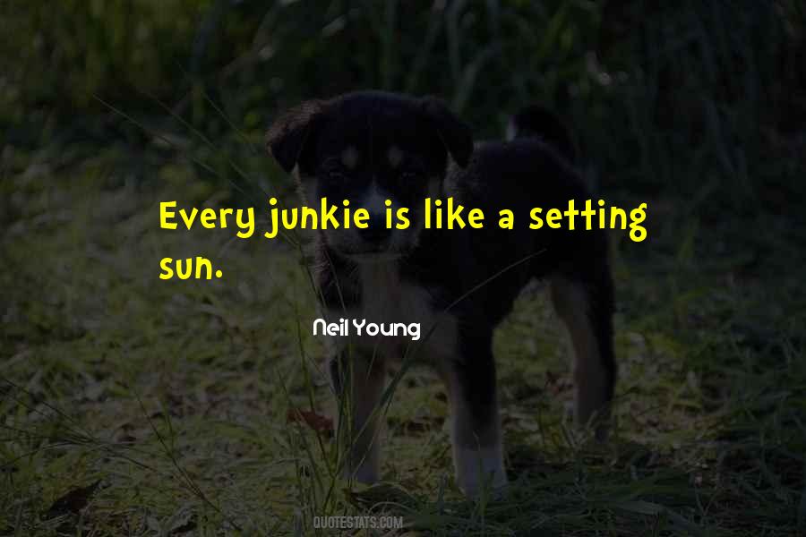 Junkie Quotes #1371600