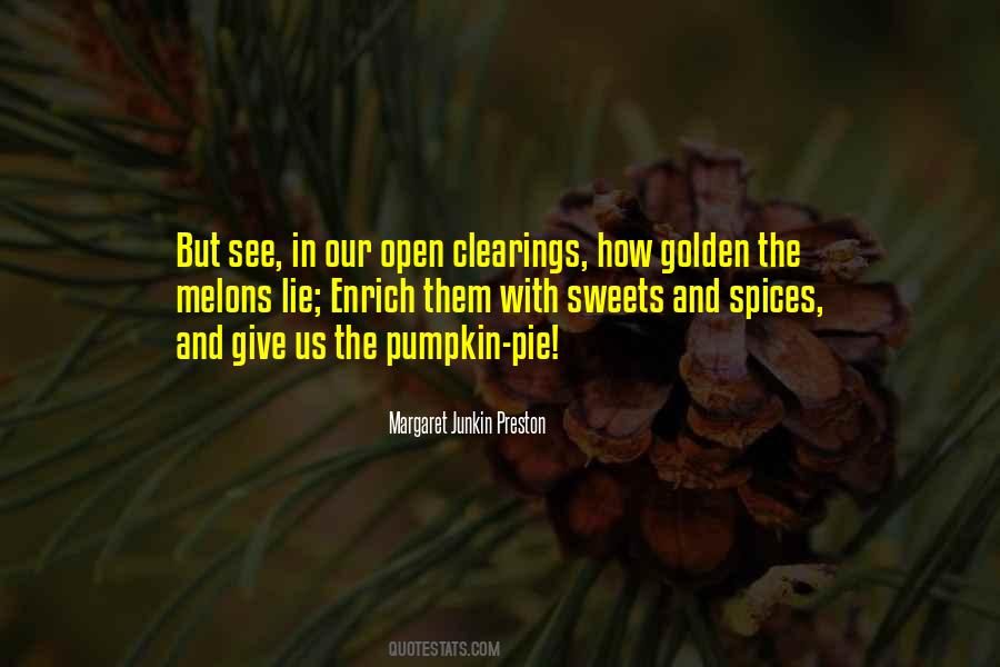 Junkin Quotes #1838055