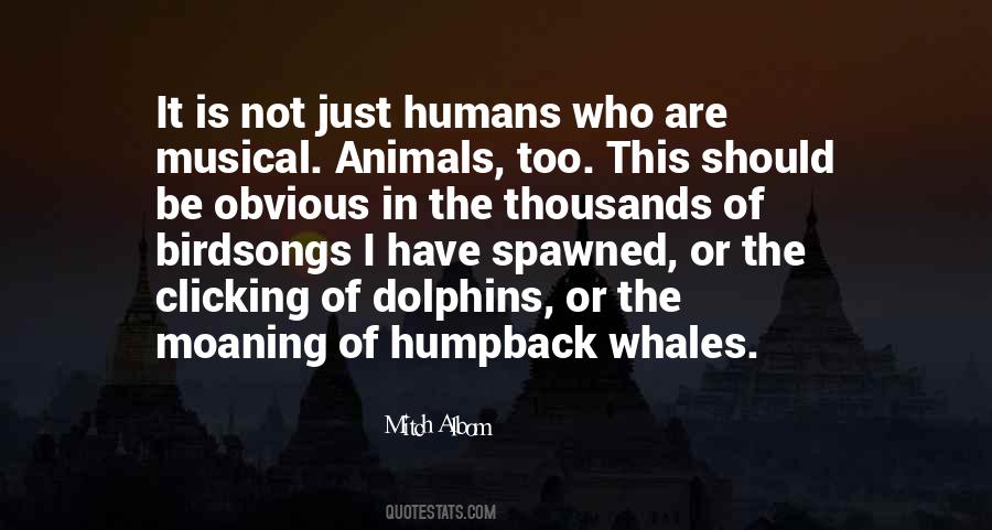 Just Clicking Quotes #1139109