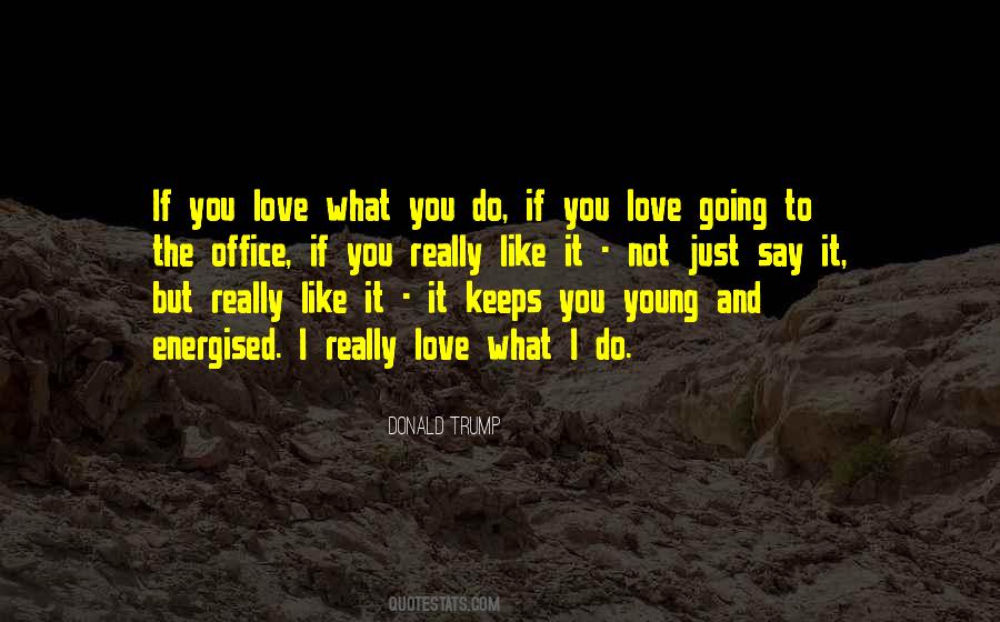 Just Do What You Love Quotes #586504